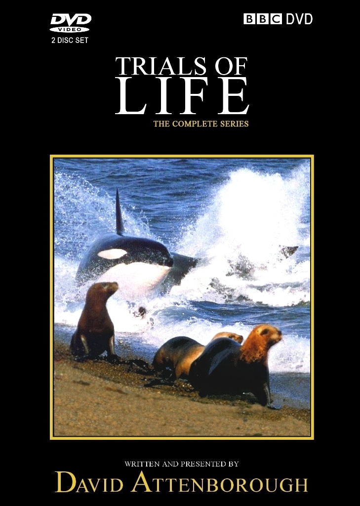 BBC Natural World Documentary Review Trials of Life attenborough's