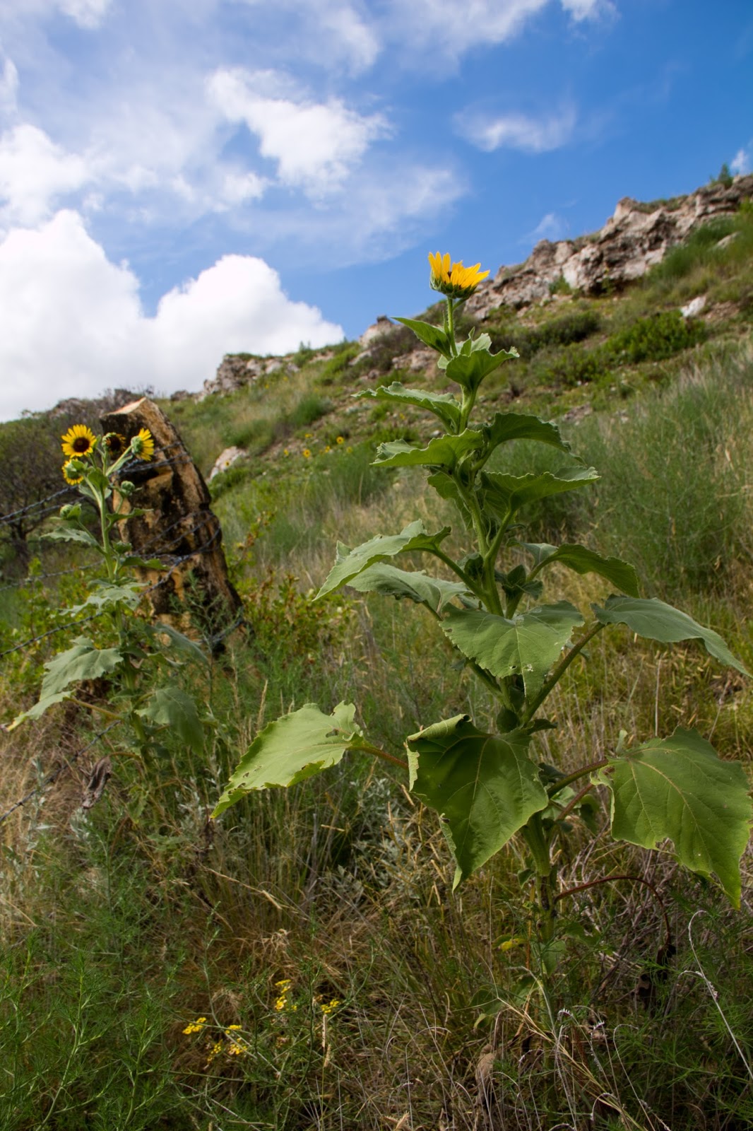 The Kansas Outback 8 Natural Wonders of the Red HillsBig Basin