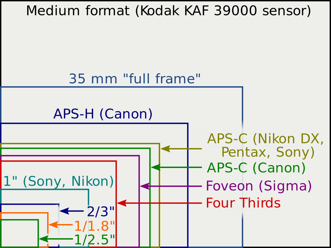 Baby Steps into Photography - part I : Superzooms, Bridge and MFTs