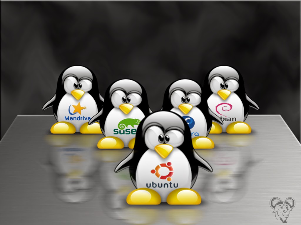 Pinguin, Logo Linux