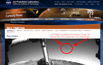 NASA-website-has-real-UFOs-on-there.
