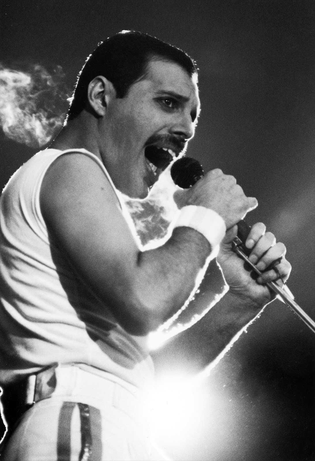 LA MUSA ENCANTADA FREDDIE MERCURY LA MUSA ENCANTADA FREDDIE MERCURY