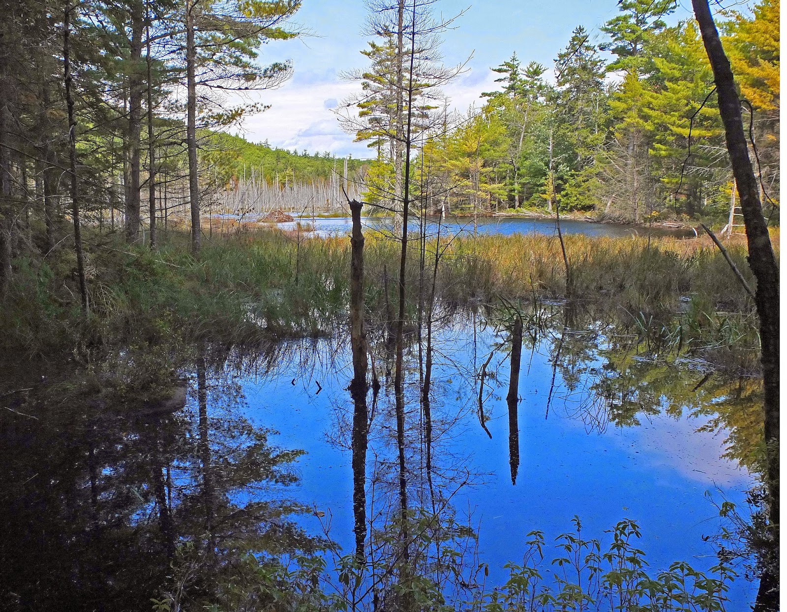 Hiking in Maine with Kelley 9/20/14 Hidden Ponds