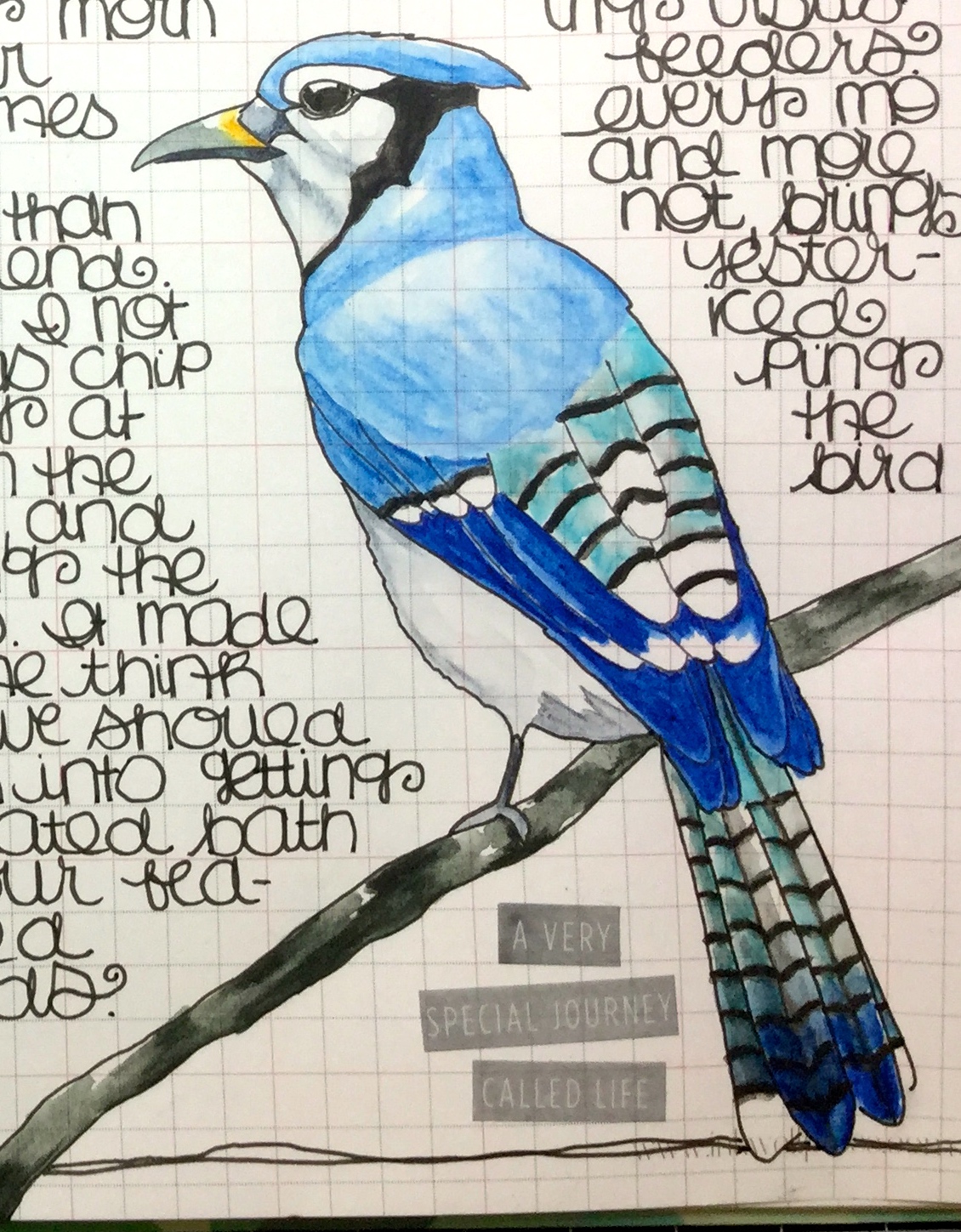 Inspiration Everywhere: Day 23 of 30: Free as a Bird...