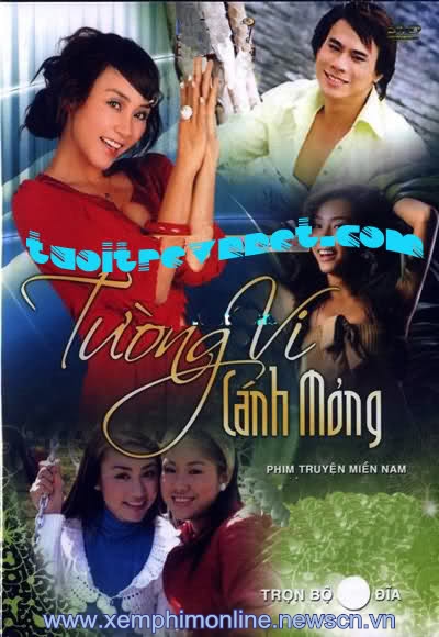 Tường Vy Cánh Mỏng - Tường Vy Cánh Mỏng Tường Vy Cánh Mỏng