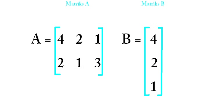 Program perkalian matrik 2x3 dan 3x1 3zoan