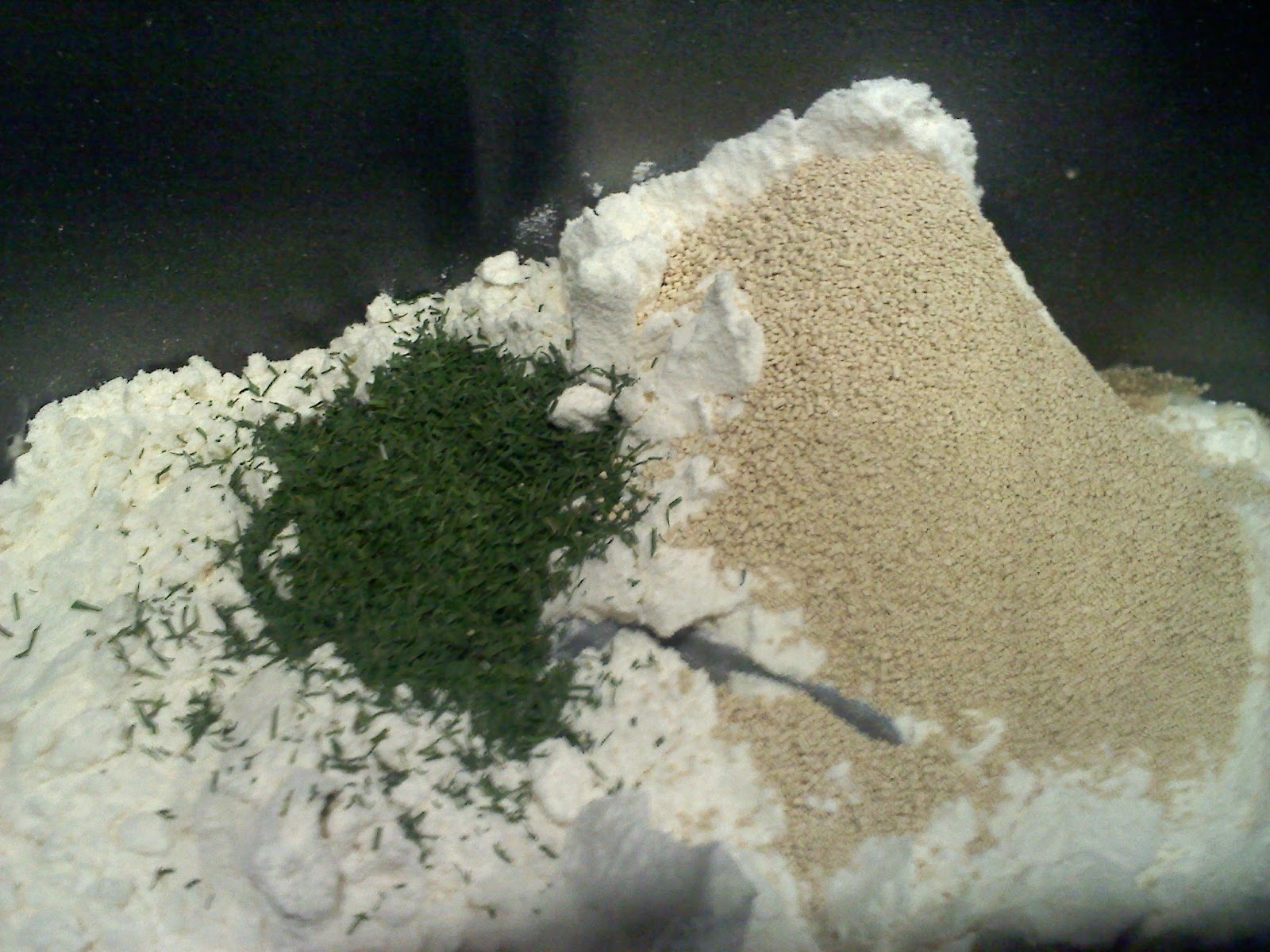 Homemade on Long Island Sharp Cheddar Dill Bread for the Bread Machine