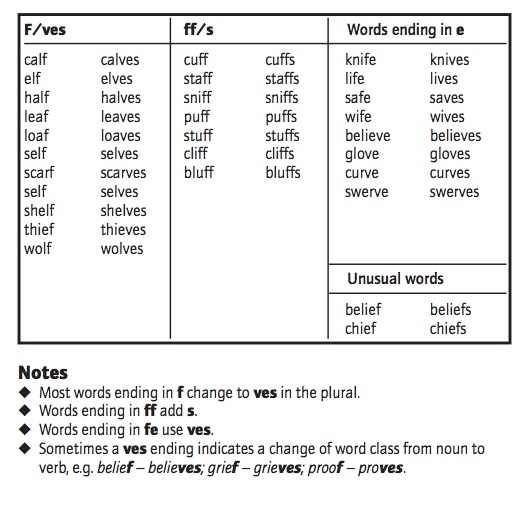 curvelearn.com: What spellings do kids learn in Year 4?