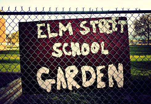 elm street school garden medicine hat alberta photography