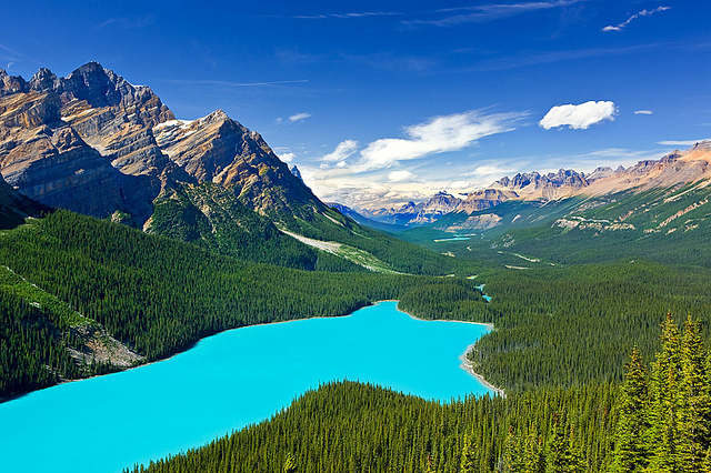 Peyto Lake Canada Peyto Lake Canada Most Beautiful Lakes in the World Adventure Travel