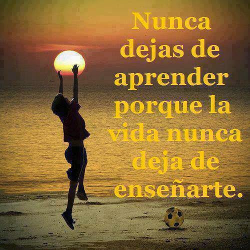 Nunca dejas de aprender. - Mis frases para ti