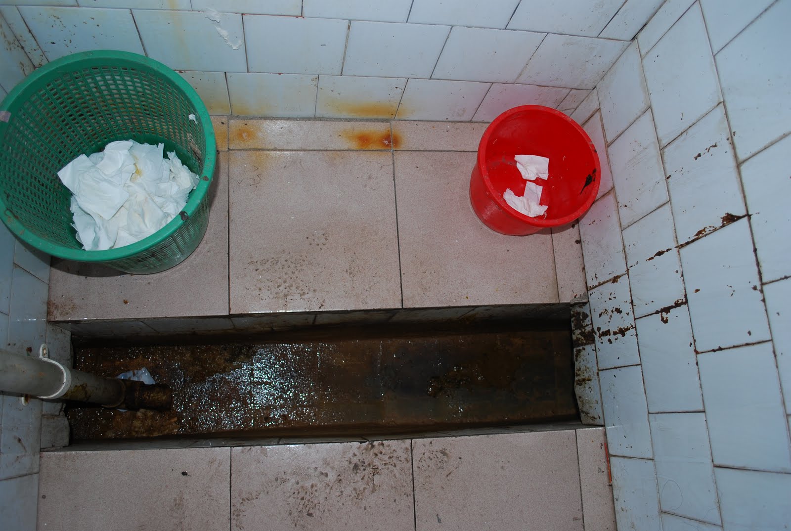 life - drafts style: Squatty Potty