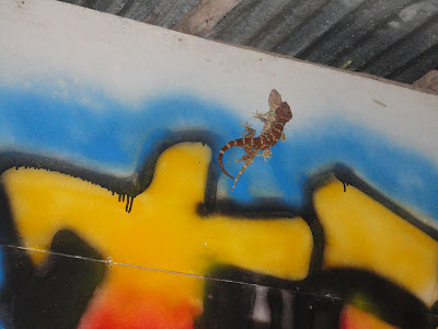 De paseo: Días 35-37: Cosas que se pueden hacer en una isla…