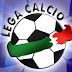 Calcio. Lega Italiana Calcio: Regolamento ripartizione proventi