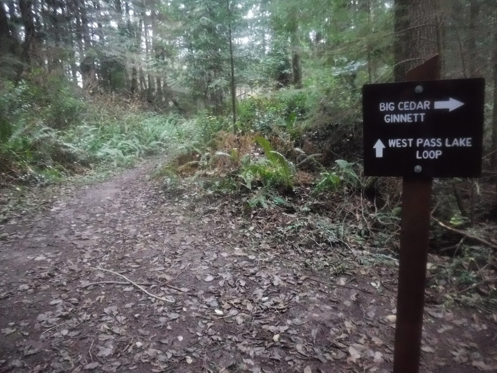 Hears Different Drummer Bowman Bay hike