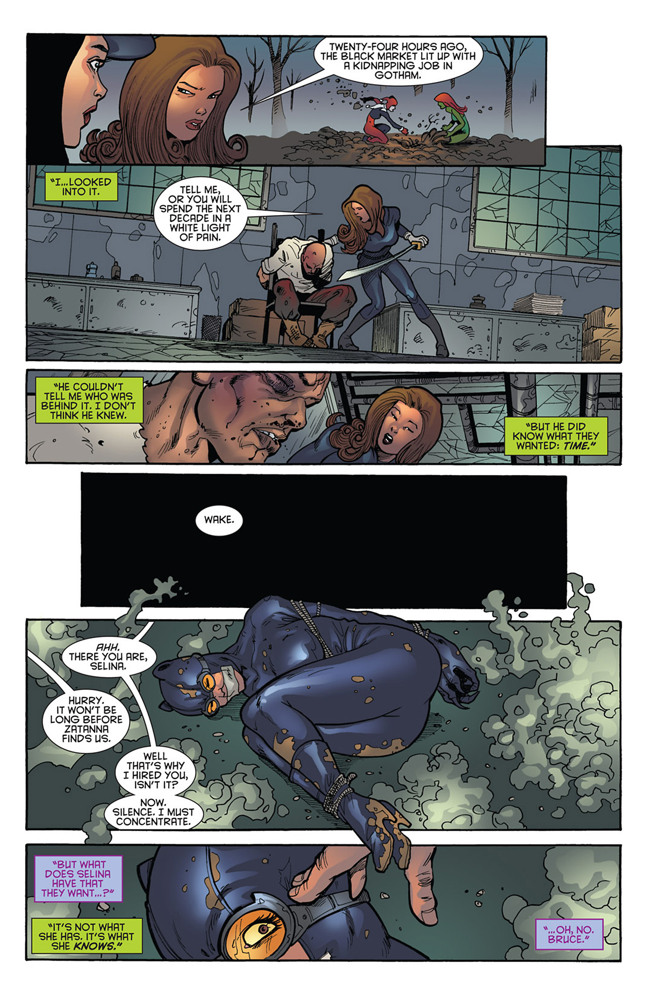 Read online Gotham City Sirens comic -  Issue #16 - 21