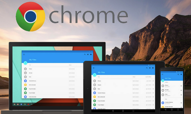 Google Chrome Offline Installer Free Download For Windows Xp