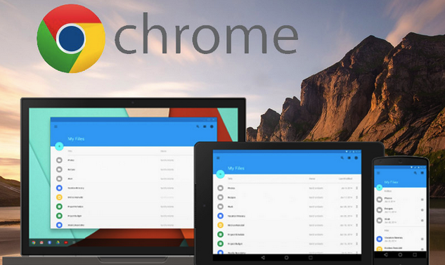 Google Chrome Offline Installer Free Download For Windows Xp Google Chrome Offline Installer Free Download For Windows Xp
