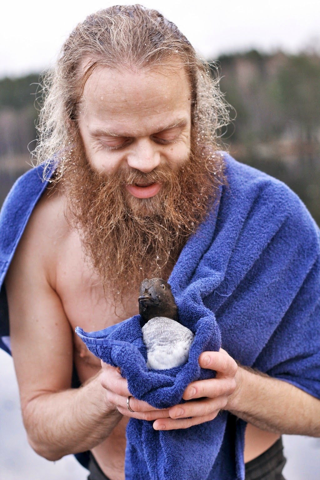 He%2Bwrapped%2Bthe%2Bduck%2Bin%2Ba%2Btow