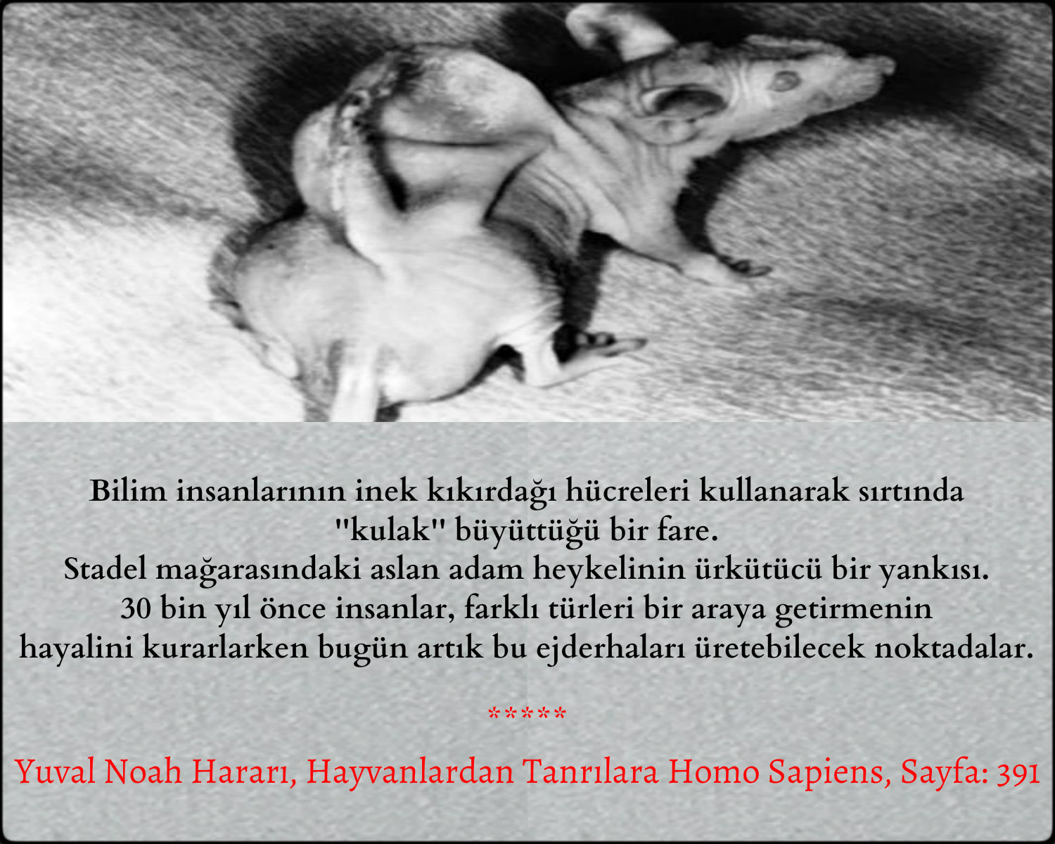 HACİMLİ VE DOLGUN SAÇLARA SAHİP OLMAK SANDIĞINIZ KADARZOR DEĞİL 76