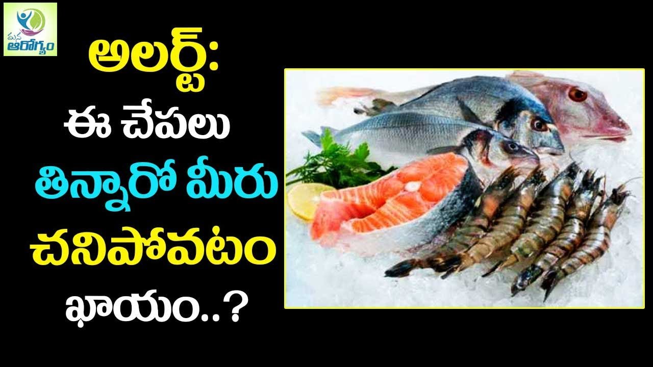 salmon fish in telugu Scribd india