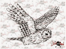 http://www.justinklined.com/digital-stamp-tawny-owl?search=owl