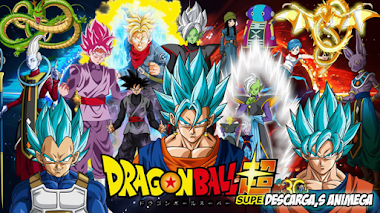 Dragon Ball Super 131/131 Audio: Japones Sub: Español Servidor: Mega
