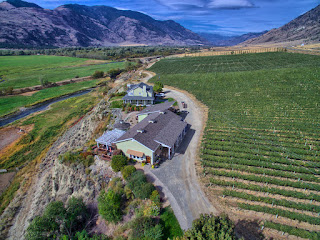 seven stones winery