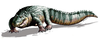14 closely related crocodiles existed around 5 million years ago