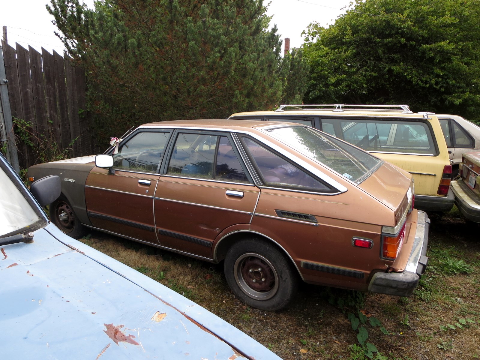Seattle's Classics 1981 Datsun 510 5Door Hatchback