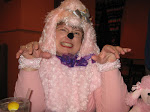 I'm a pink poodle!