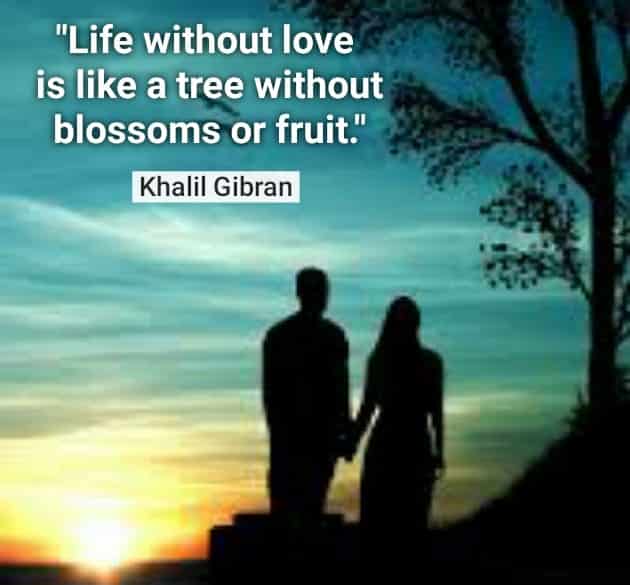 "Life without love is like a tree without blossoms or fruit