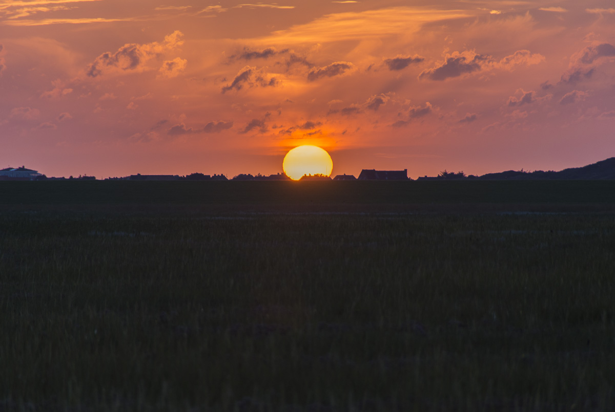 Ostfriesland Royal Prachtwappen Wimpel Langwimpel Emden Leer Aurich
