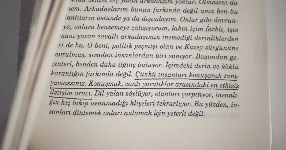 Sem�in yeri. Zülfü Livaneli Bir Kedi Bir Adam Bir Ölüm