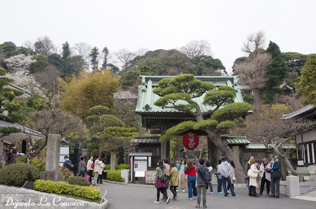 Japón primavera 2016 - 18 días (con bajo presupuesto) - Blogs de Japon - Día 7 - Kamakura (3)