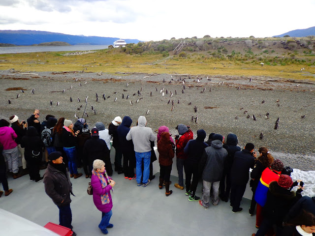 ushuaia passeio pelo canal beagle