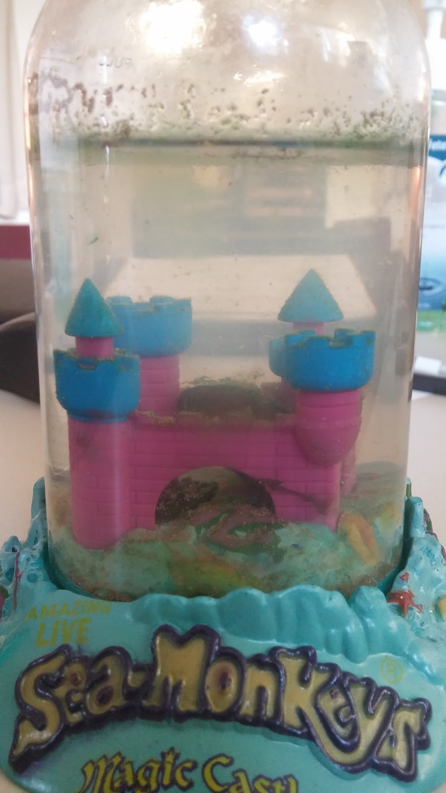 Heading Home Farms Sea Monkeys (yes, sea monkeys) as a muse for