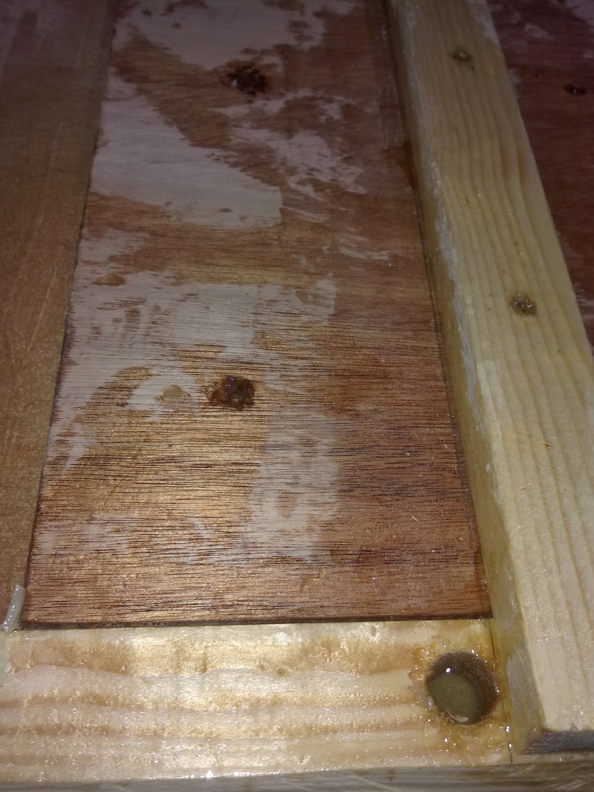 Building a Seaclipper 20 in Italy Filling the screw holes