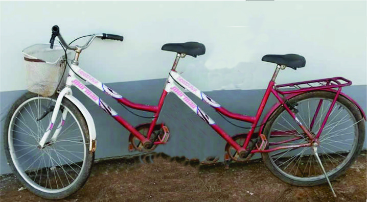 Bicicleta com banco atrás Outlet
