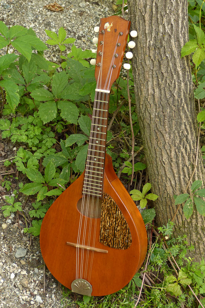 c.1940 Regalmade Blue Comet Flatback Mandolin