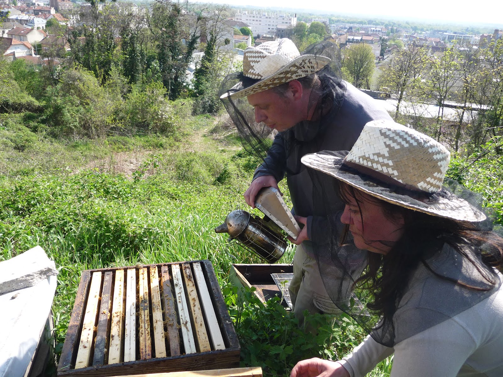 "Abeille machine"