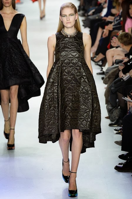 Fashion Runway Christian Dior Fall 2014 Paris Fashion Week | Cool Chic ...