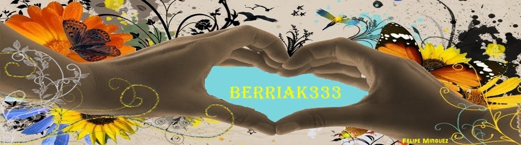 BERRIAK 333
