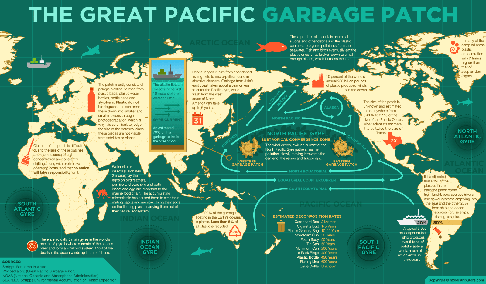 The great Pacific garbage patch