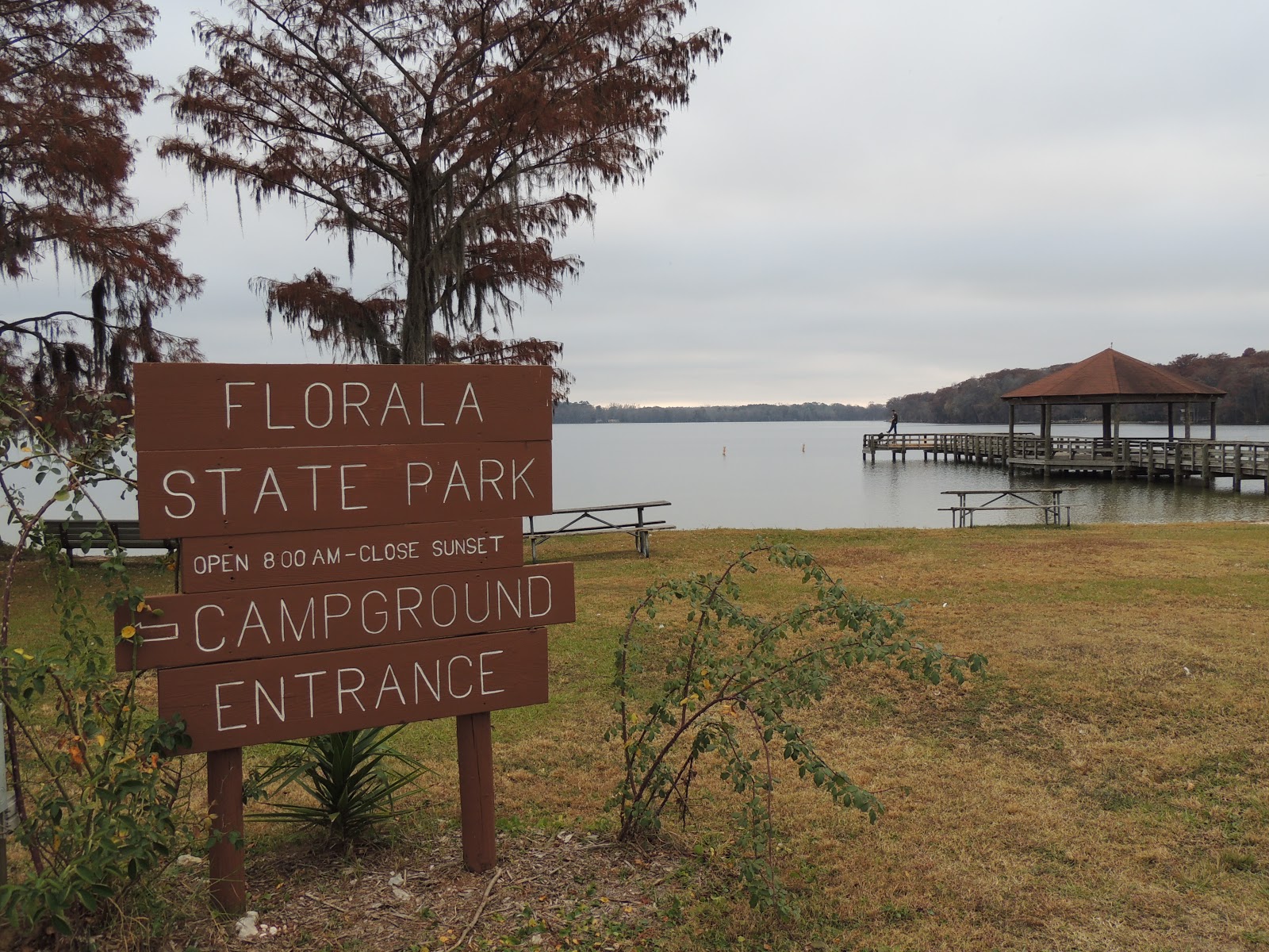 1000 Hikes in 1000 Days Day 752 Florala State Park Florala, Alabama