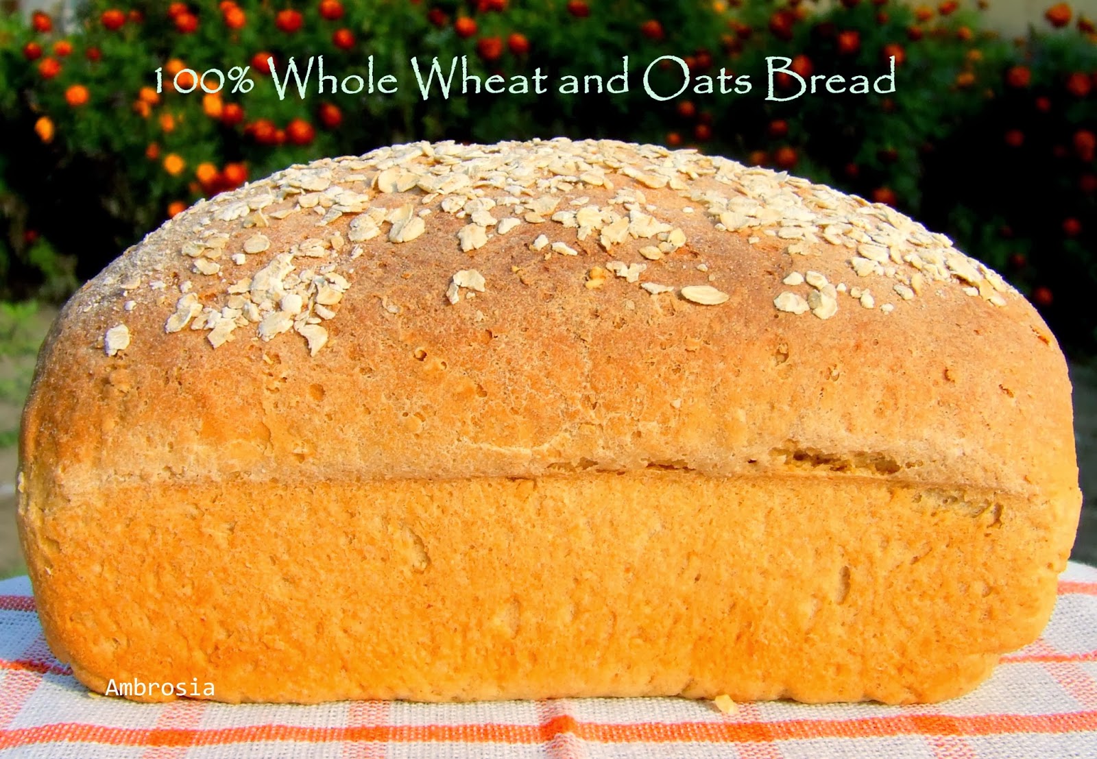 100 Whole Wheat And Oats Bread (Vegan) Twelveloaves Ambrosia