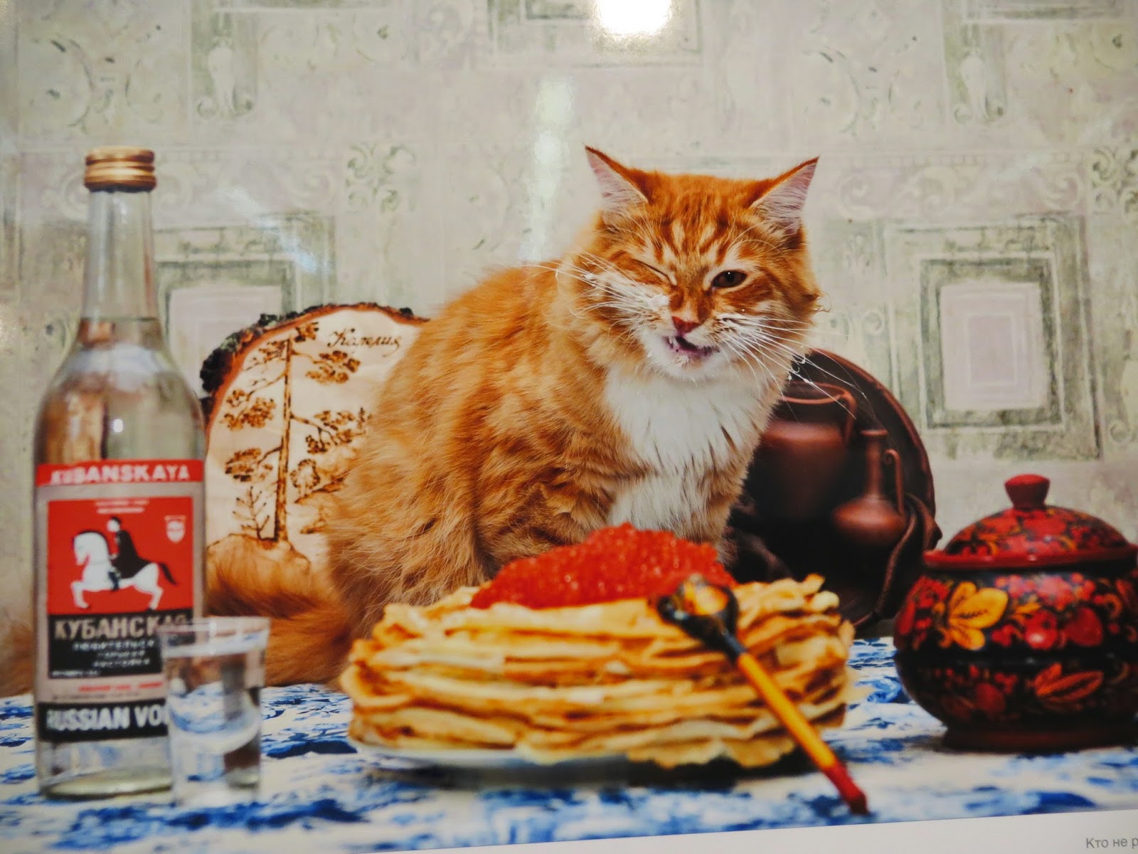 Масленица открытки с котом. Масленица коты. Коты с блинами на Масленицу. Масленица с котами. Рыжий кот с блинами.