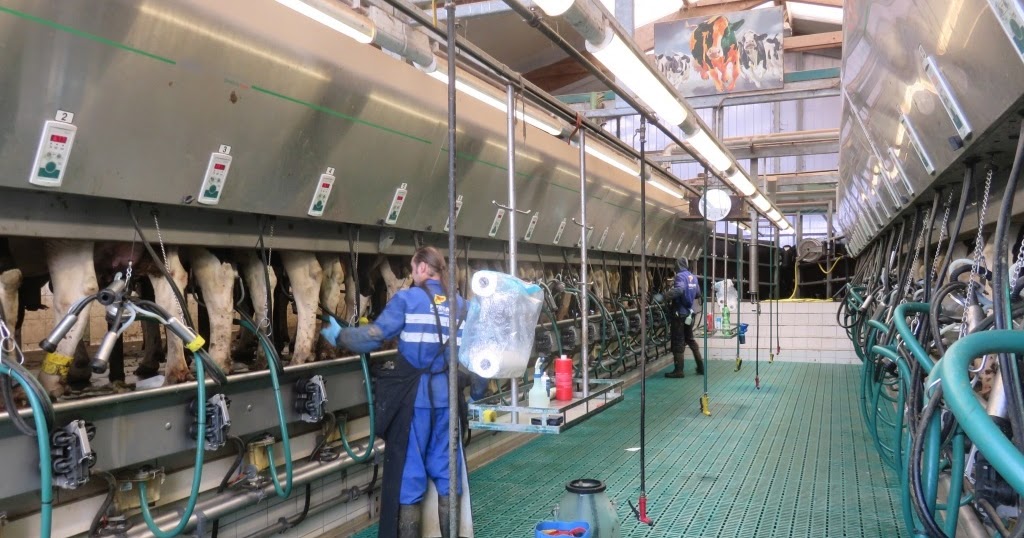 Benjamins Kuhblog Nach Kaaks Teil 2