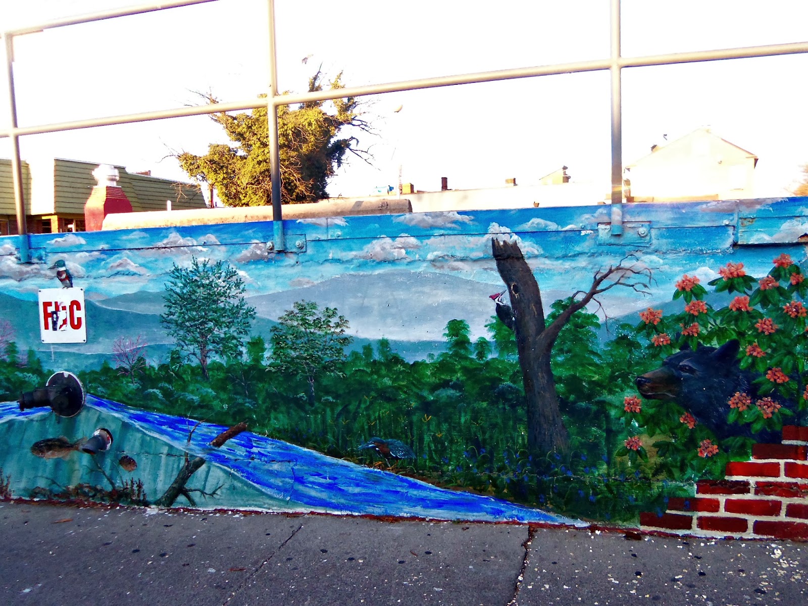 Around Roanoke, VA (A Daily Photo Blog) Monday Mural Blacksburg