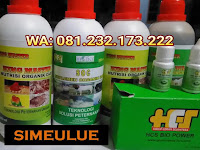 Jual SOC HCS, King Master, Bio Power Siap Kirim SIMEULUE Jual SOC HCS, King Master, Bio Power Siap Kirim SIMEULUE